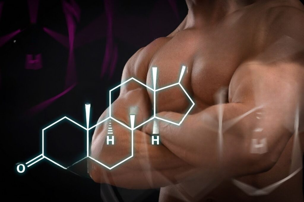 Testosterone Supplement